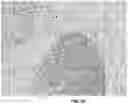 Fig. 20 - Peptide nucleic acid conjugates