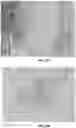 Fig. 22 - Peptide nucleic acid conjugates