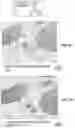 Fig. 25 - Peptide nucleic acid conjugates