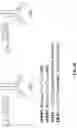 Fig. 26 - Peptide nucleic acid conjugates