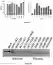 Fig. 05 - BCL11A guide delivery