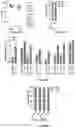 Fig. 07 - BCL11A guide delivery