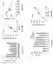 Fig. 23 - BCL11A guide delivery