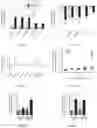 Fig. 04 - Methods and compositions for managing vascular conditions