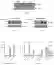 Fig. 08 - Methods and compositions for managing vascular conditions