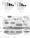 Fig. 14 - Methods and compositions for managing vascular conditions