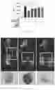 Fig. 18 - Methods and compositions for managing vascular conditions