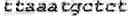 Fig. 08 - Methods for multiplexing recombinase polymerase amplification