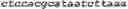 Fig. 11 - Methods for multiplexing recombinase polymerase amplification