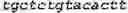 Fig. 16 - Methods for multiplexing recombinase polymerase amplification