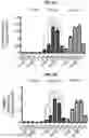 Fig. 08 - Methods for Producing Enteroendocrine Cells That Make and Secrete Insulin