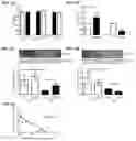 Fig. 04 - Method for inhibiting calcification of a smooth muscle cell (SMC)