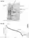 Fig. 07 - Method for inhibiting calcification of a smooth muscle cell (SMC)