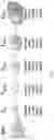 Fig. 04 - TRANSCRIPTION SYSTEM