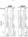 Fig. 11 - Import of unnatural or modified nucleoside triphosphates into cells via nucleic acid triphosphate transporters