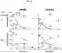 Fig. 12 - Import of unnatural or modified nucleoside triphosphates into cells via nucleic acid triphosphate transporters