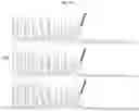 Fig. 22 - Import of unnatural or modified nucleoside triphosphates into cells via nucleic acid triphosphate transporters
