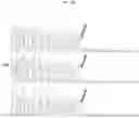 Fig. 24 - Import of unnatural or modified nucleoside triphosphates into cells via nucleic acid triphosphate transporters