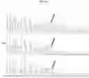 Fig. 28 - Import of unnatural or modified nucleoside triphosphates into cells via nucleic acid triphosphate transporters