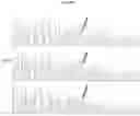 Fig. 29 - Import of unnatural or modified nucleoside triphosphates into cells via nucleic acid triphosphate transporters