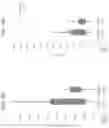 Fig. 05 - Terminator sequence for gene expression in plants