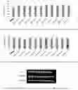 Fig. 17 - CORN GENES ZMSPL1 AND ZMSPL2 AND USES THEREOF