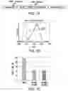 Fig. 02 - Genomic engineering of pluripotent cells