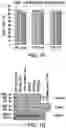 Fig. 04 - Genomic engineering of pluripotent cells