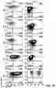 Fig. 07 - Genomic engineering of pluripotent cells