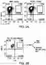 Fig. 08 - Genomic engineering of pluripotent cells