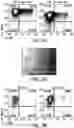 Fig. 09 - Genomic engineering of pluripotent cells