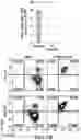 Fig. 15 - Genomic engineering of pluripotent cells