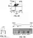 Fig. 18 - Genomic engineering of pluripotent cells