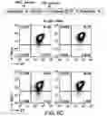 Fig. 21 - Genomic engineering of pluripotent cells