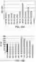 Fig. 26 - Genomic engineering of pluripotent cells