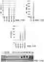 Fig. 29 - Genomic engineering of pluripotent cells