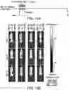 Fig. 30 - Genomic engineering of pluripotent cells