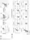Fig. 33 - Genomic engineering of pluripotent cells