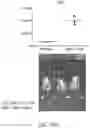 Fig. 38 - Genomic engineering of pluripotent cells