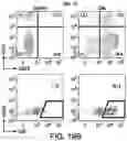 Fig. 42 - Genomic engineering of pluripotent cells