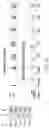 Fig. 43 - Genomic engineering of pluripotent cells