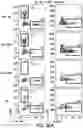 Fig. 51 - Genomic engineering of pluripotent cells