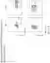 Fig. 62 - Genomic engineering of pluripotent cells