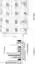 Fig. 67 - Genomic engineering of pluripotent cells
