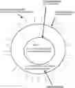 Fig. 01 - COMPOSITIONS AND METHODS FOR NUCLEIC ACID AND/OR PROTEIN PAYLOAD DELIVERY