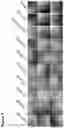Fig. 06 - COMPOSITIONS AND METHODS FOR NUCLEIC ACID AND/OR PROTEIN PAYLOAD DELIVERY