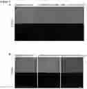 Fig. 09 - COMPOSITIONS AND METHODS FOR NUCLEIC ACID AND/OR PROTEIN PAYLOAD DELIVERY