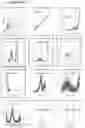 Fig. 104 - COMPOSITIONS AND METHODS FOR NUCLEIC ACID AND/OR PROTEIN PAYLOAD DELIVERY