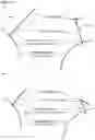 Fig. 12 - COMPOSITIONS AND METHODS FOR NUCLEIC ACID AND/OR PROTEIN PAYLOAD DELIVERY