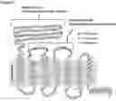 Fig. 13 - COMPOSITIONS AND METHODS FOR NUCLEIC ACID AND/OR PROTEIN PAYLOAD DELIVERY